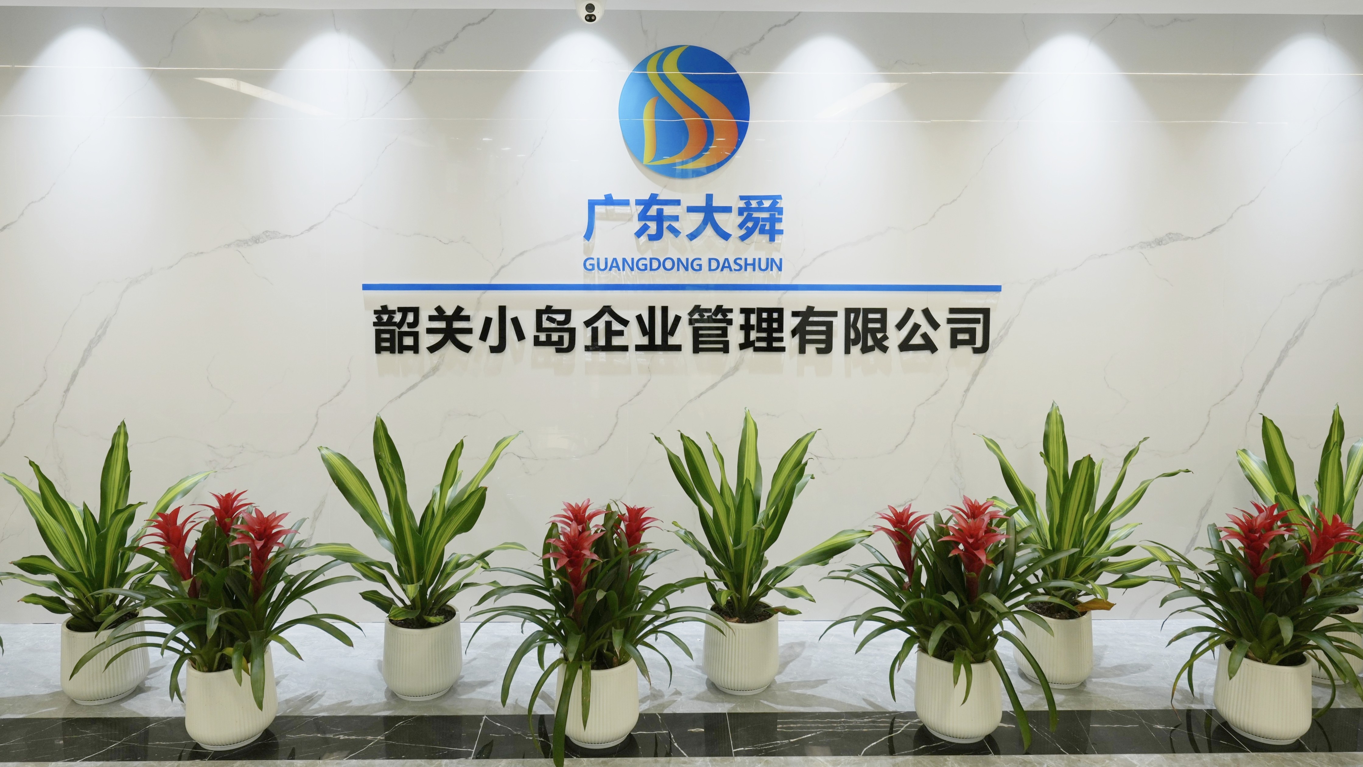 小岛公司